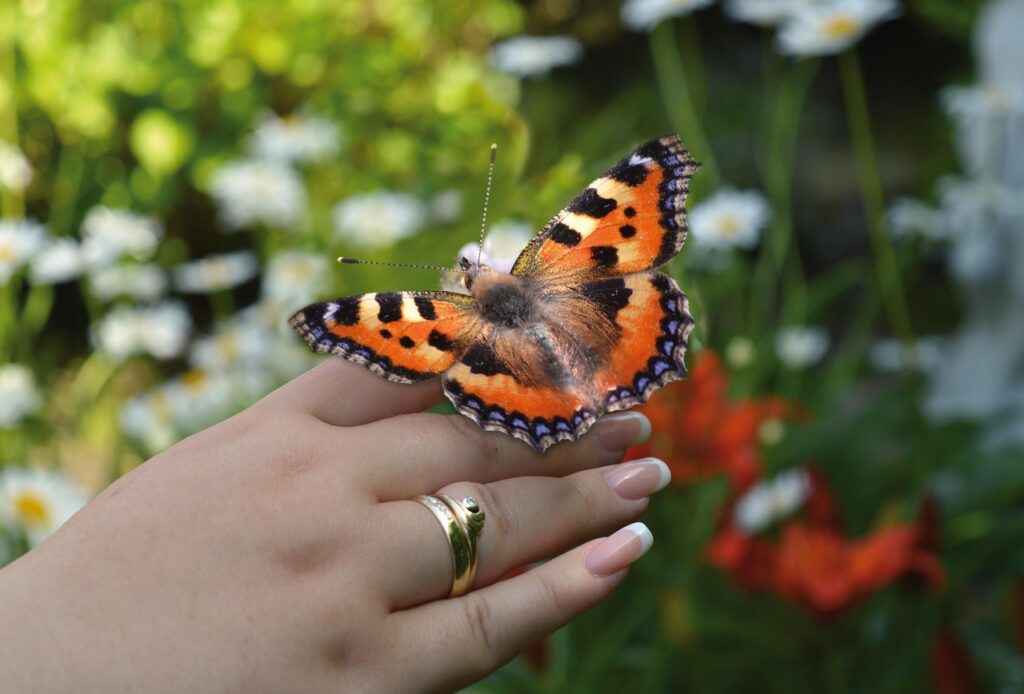 海外で女性が経験した怖い体験とは？