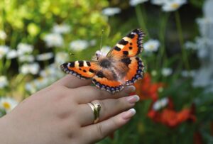 海外で女性が経験した怖い体験とは？