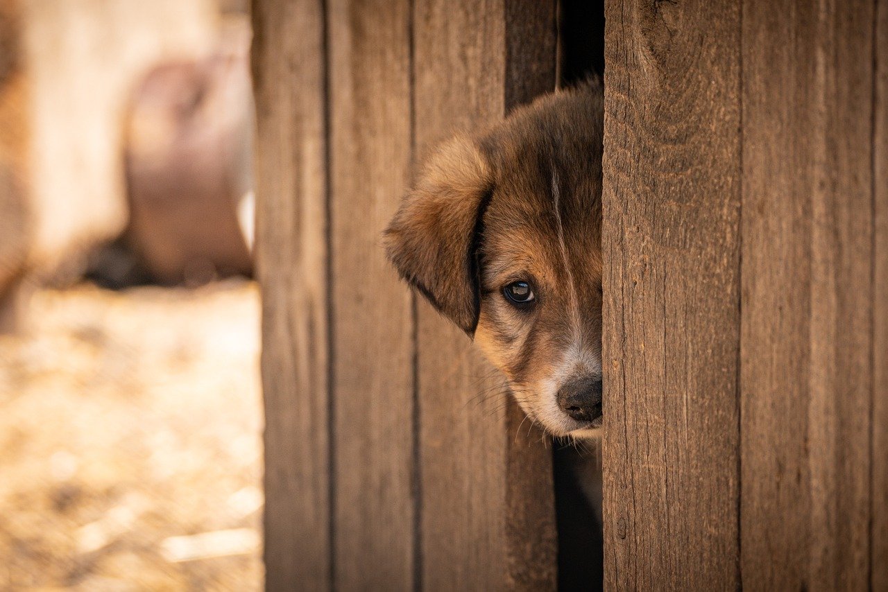女性の一人旅で出会いを求める方法は？