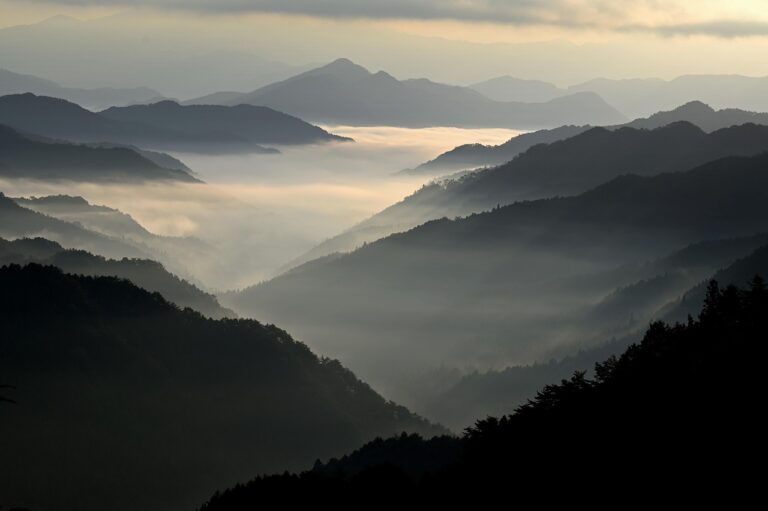 一人旅の旅行予約はどうすれば成功する？