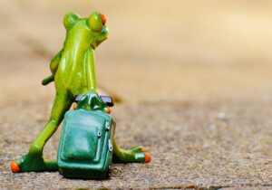 一人旅の旅行目的は何？あなたにぴったりの理由が見つかる！