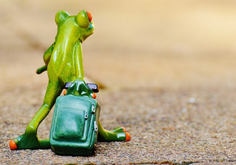 一人旅の旅行目的は何？あなたにぴったりの理由が見つかる！