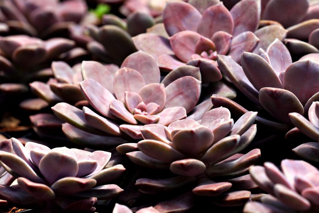 一人旅の期間の目安はどれくらいが理想？