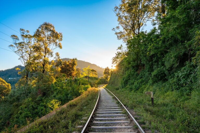 女性の一人旅で交通費を節約する方法は？